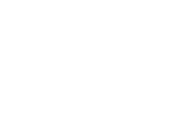 Electric Saw